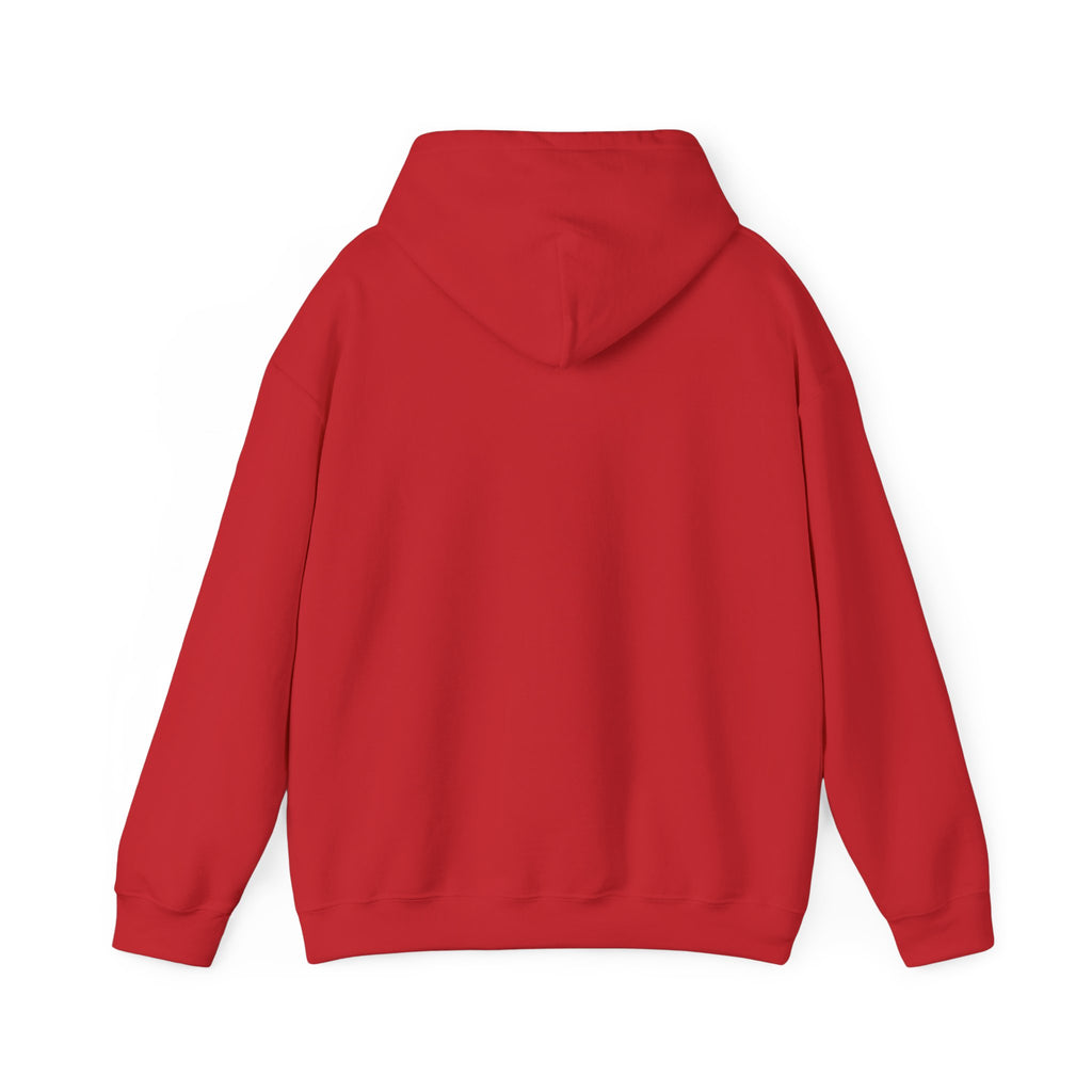 Breaking the Pipeline Hoodie — One Child, One School Inspirational Hoodie
