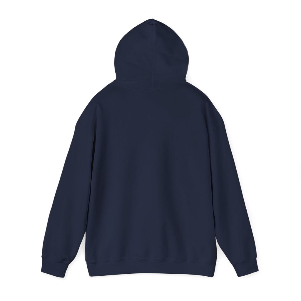 Breaking the Pipeline Hoodie — One Child, One School Inspirational Hoodie
