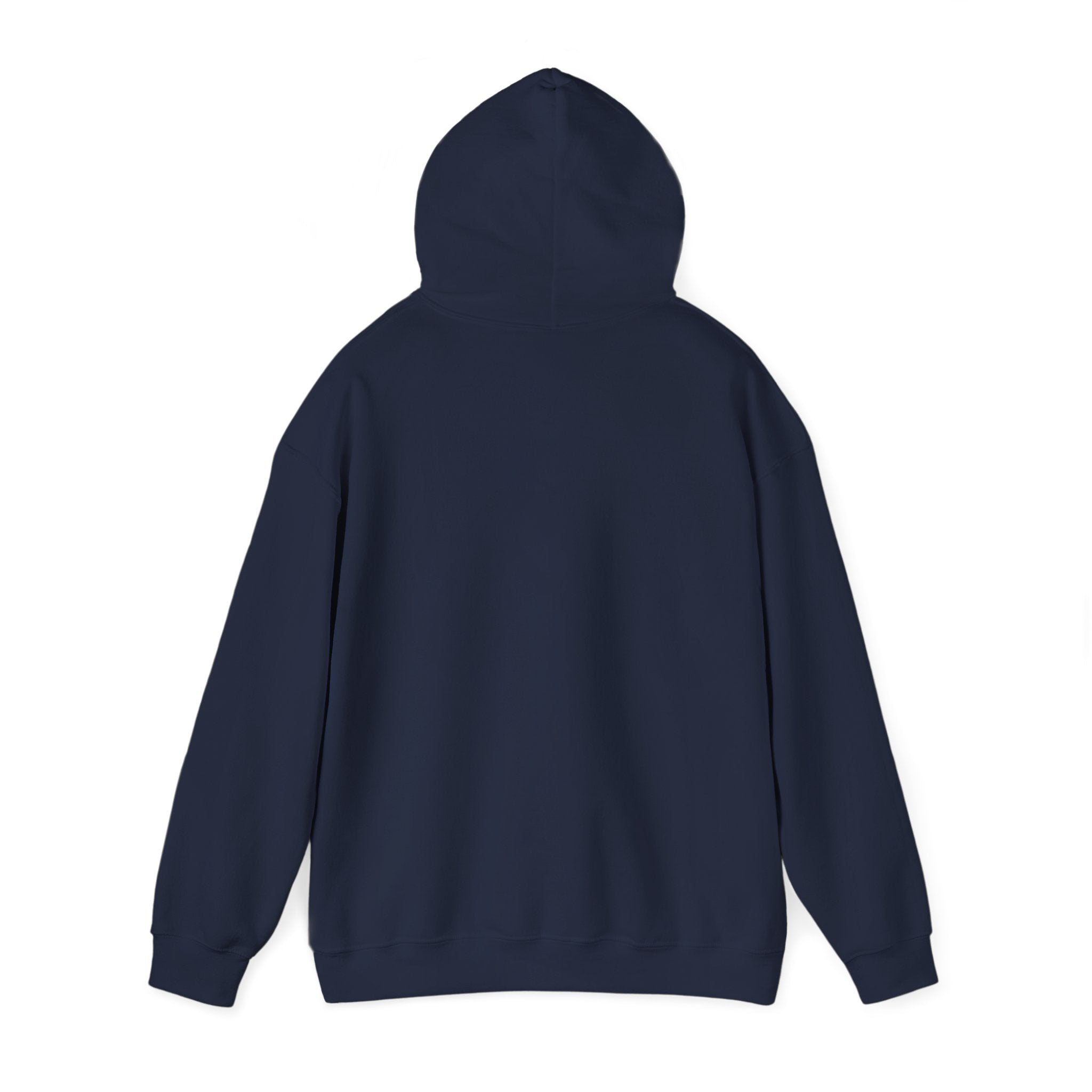 Breaking the Pipeline Hoodie — One Child, One School Inspirational Hoodie