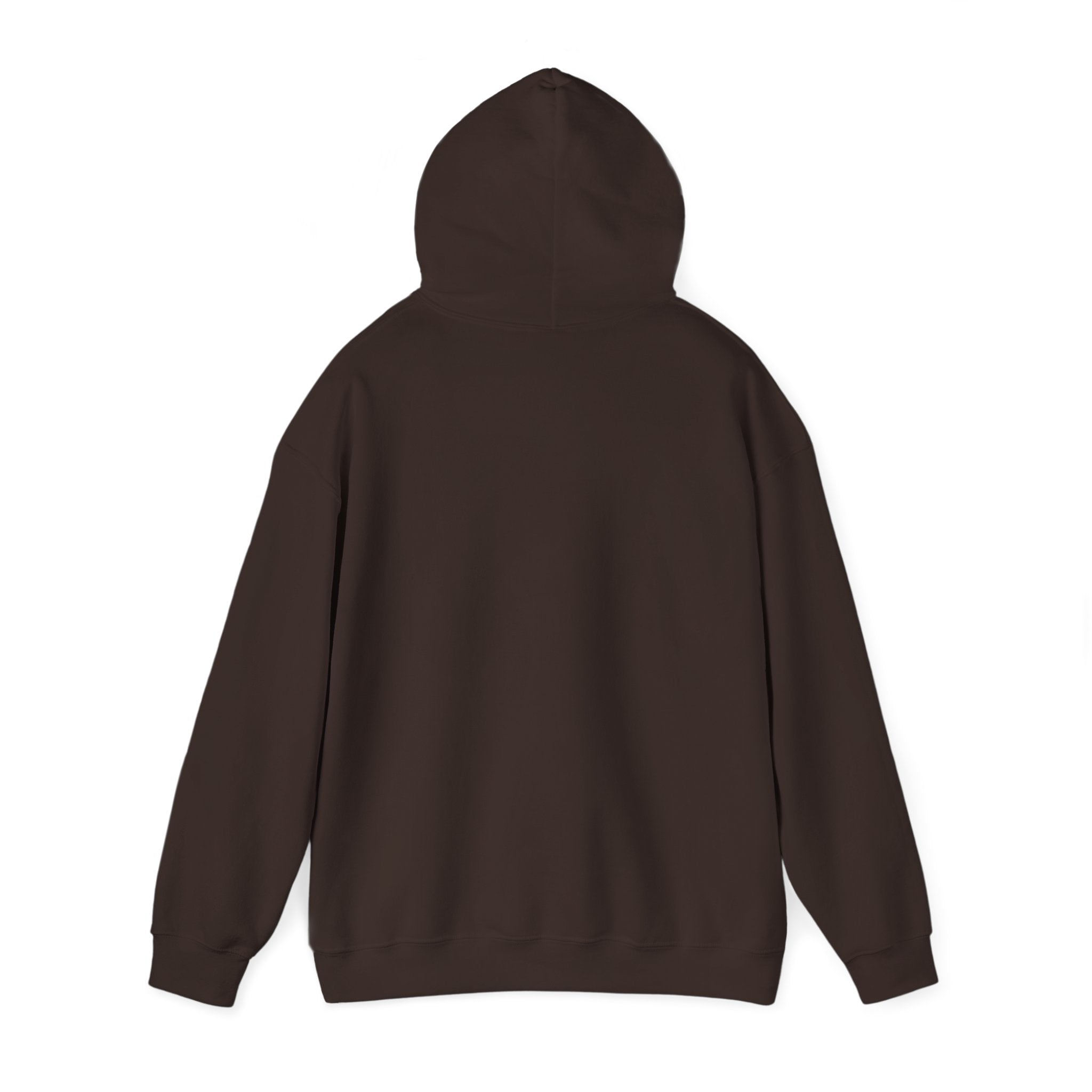Breaking the Pipeline Hoodie — One Child, One School Inspirational Hoodie