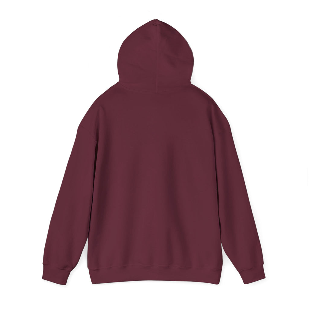 Breaking the Pipeline Hoodie — One Child, One School Inspirational Hoodie