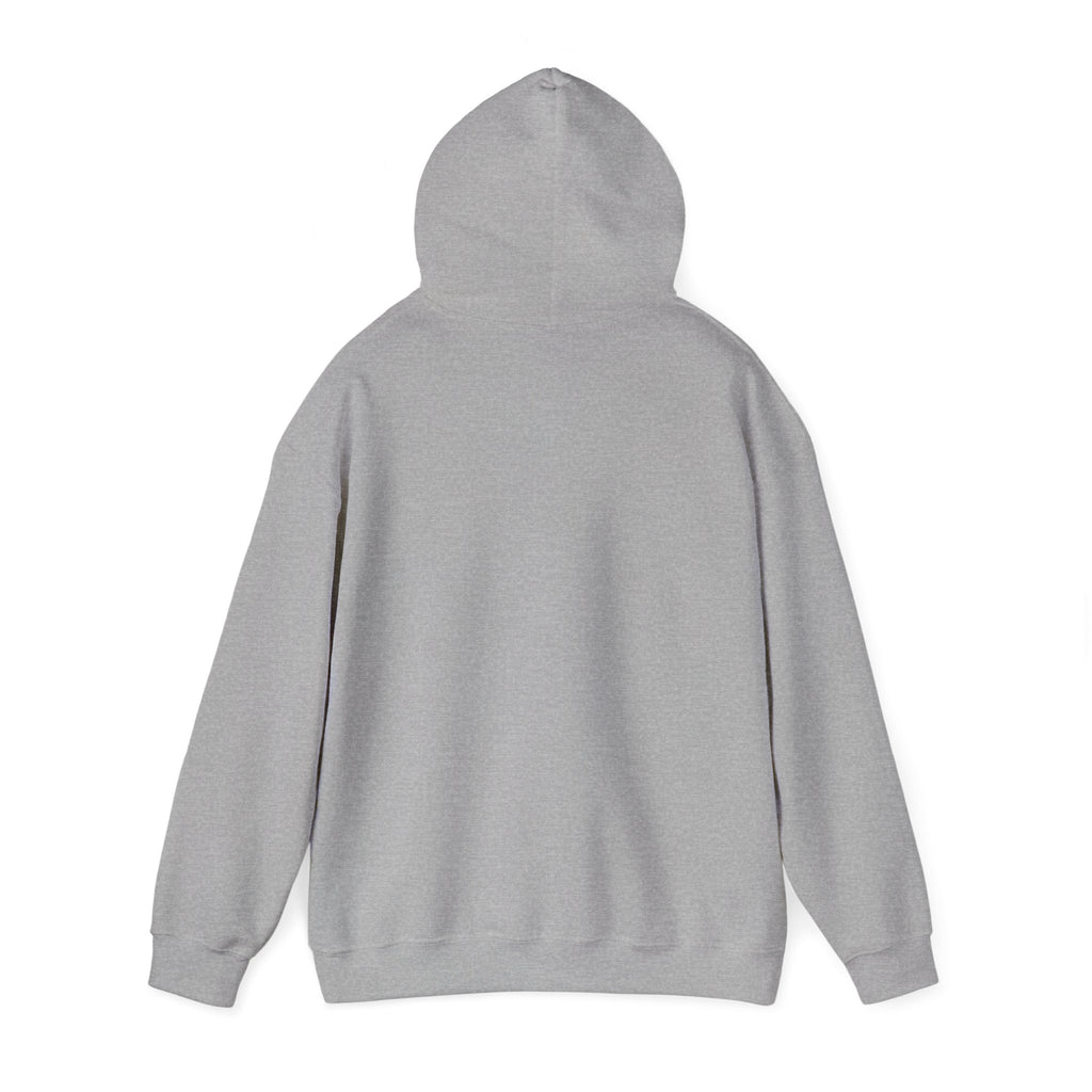 Detroit Lions Mom Hoodie – "Messy Bun, Game On" Football Fan Pullover