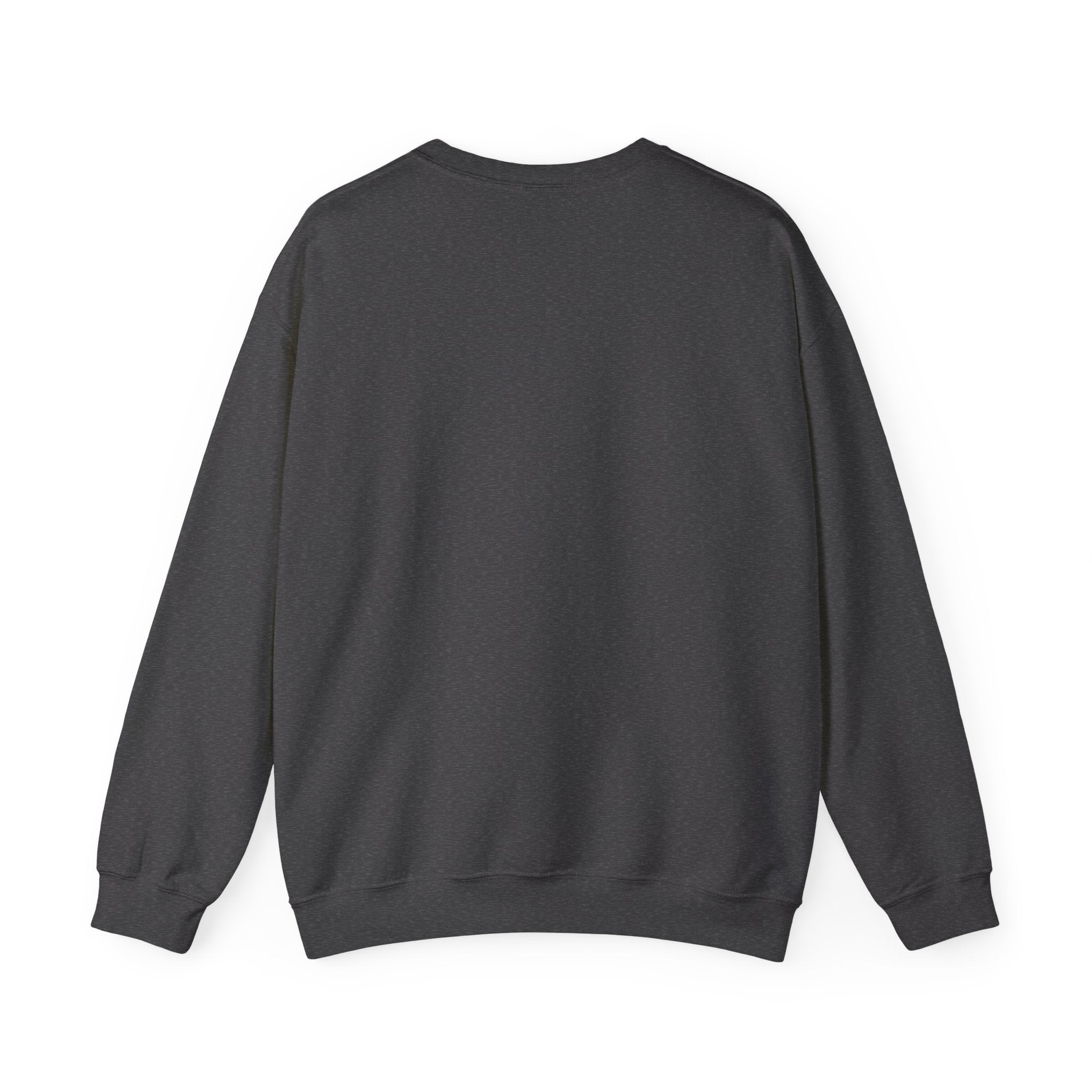 Crewneck Sweatshirt - "Our Youth Our Future Our Choice" Graphic