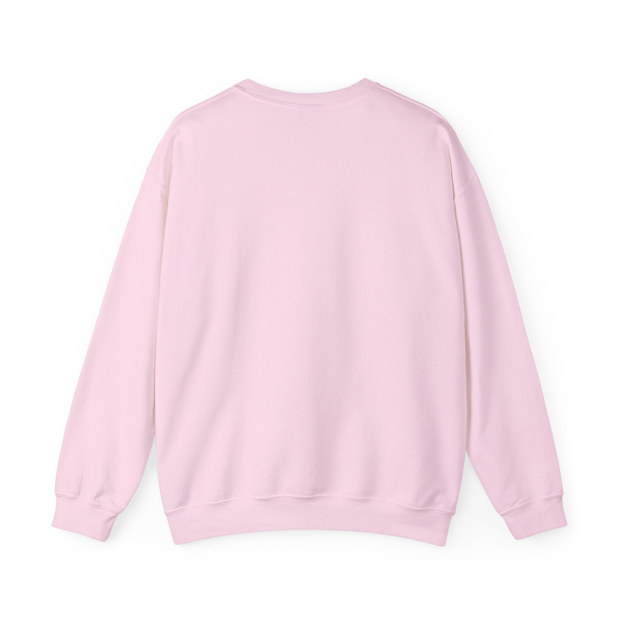 Crewneck Sweatshirt - "Our Youth Our Future Our Choice" Graphic