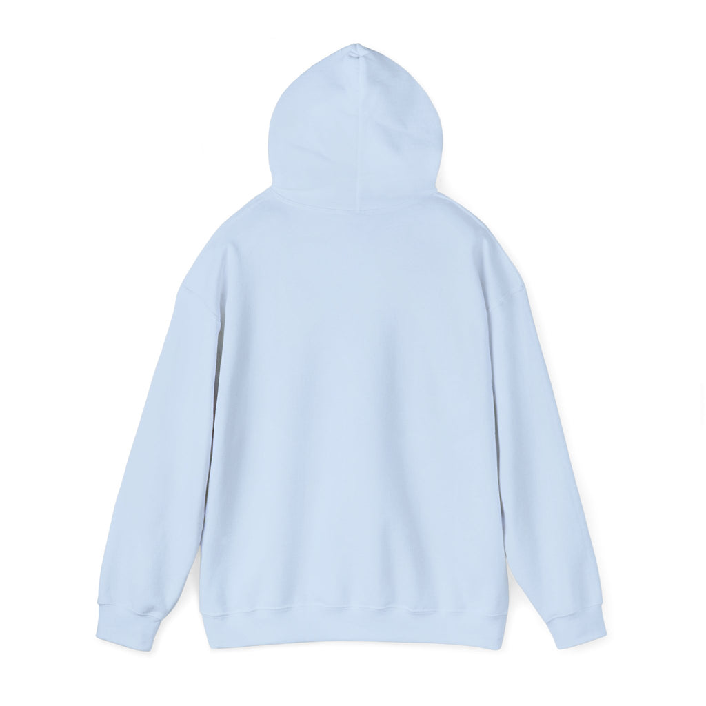 Breaking the Pipeline Hoodie — One Child, One School Inspirational Hoodie