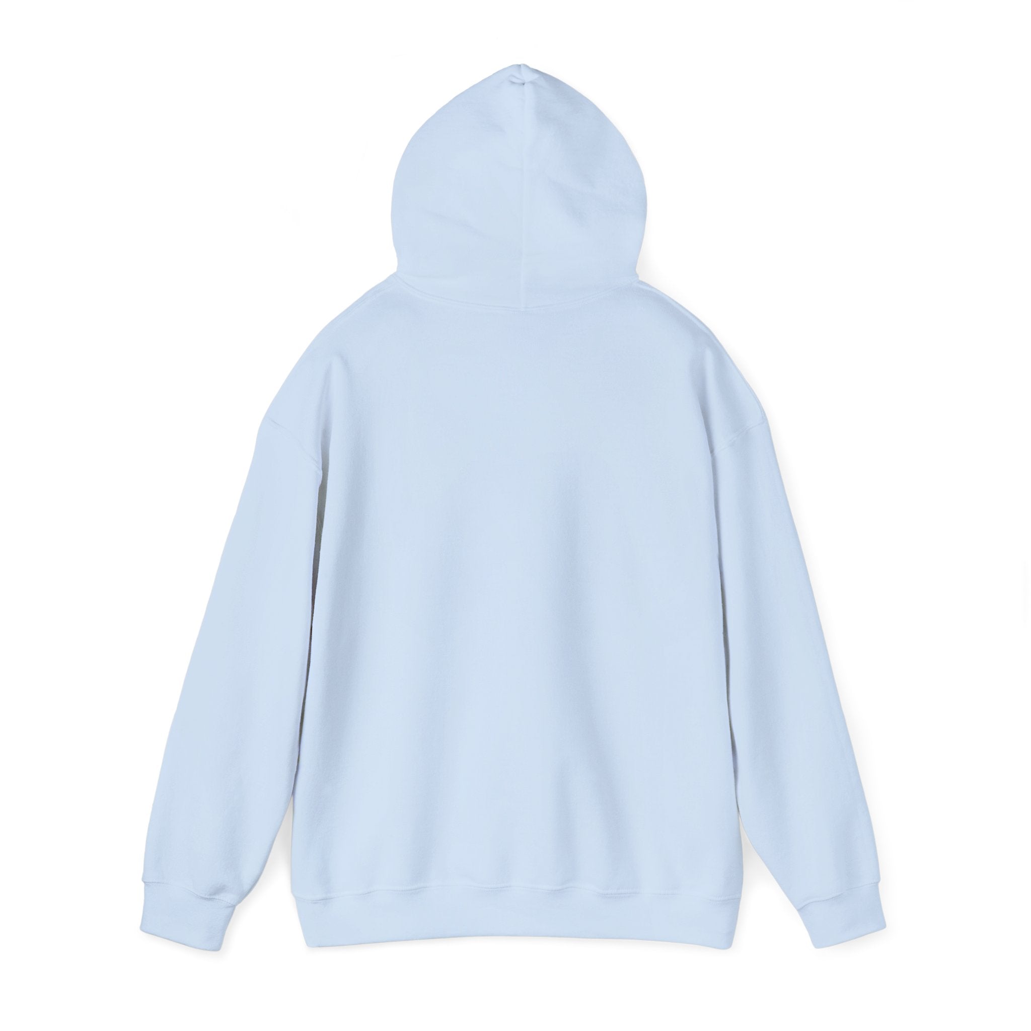 Breaking the Pipeline Hoodie — One Child, One School Inspirational Hoodie