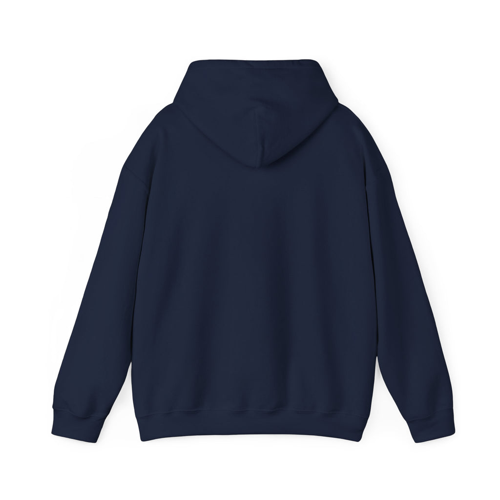 Breaking the Pipeline Hoodie — One Child, One School Inspirational Hoodie