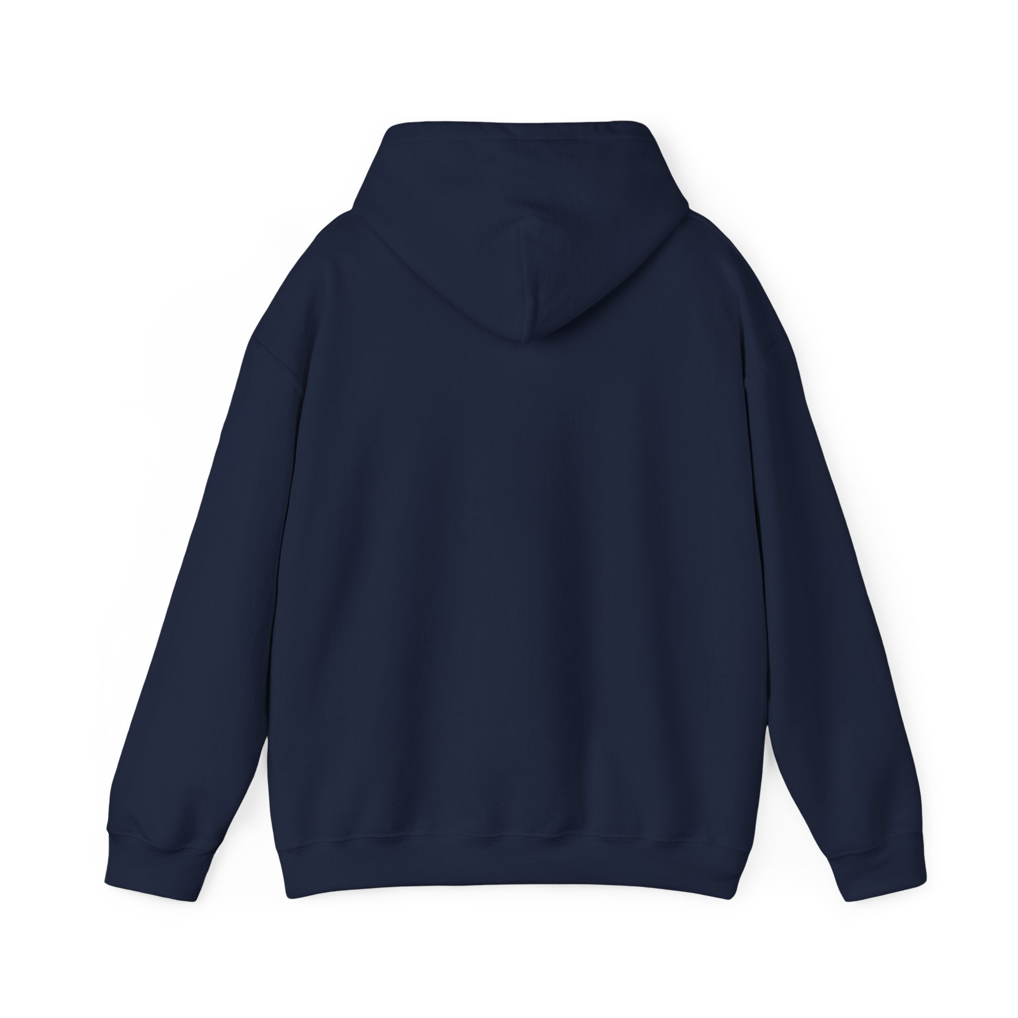 Breaking the Pipeline Hoodie — One Child, One School Inspirational Hoodie
