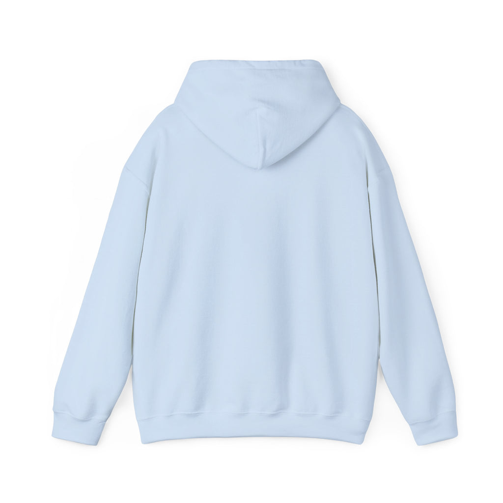 Breaking the Pipeline Hoodie — One Child, One School Inspirational Hoodie