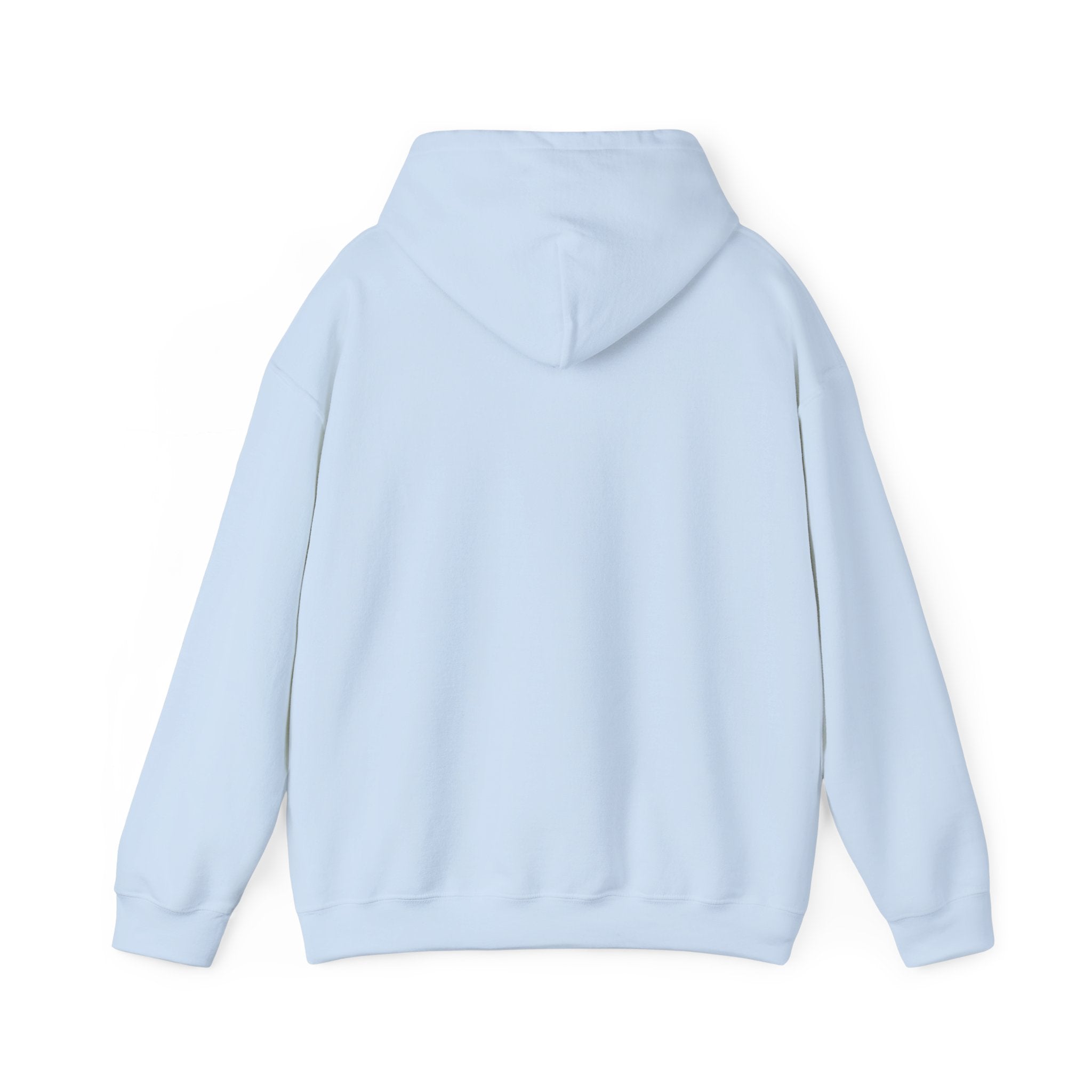 Breaking the Pipeline Hoodie — One Child, One School Inspirational Hoodie