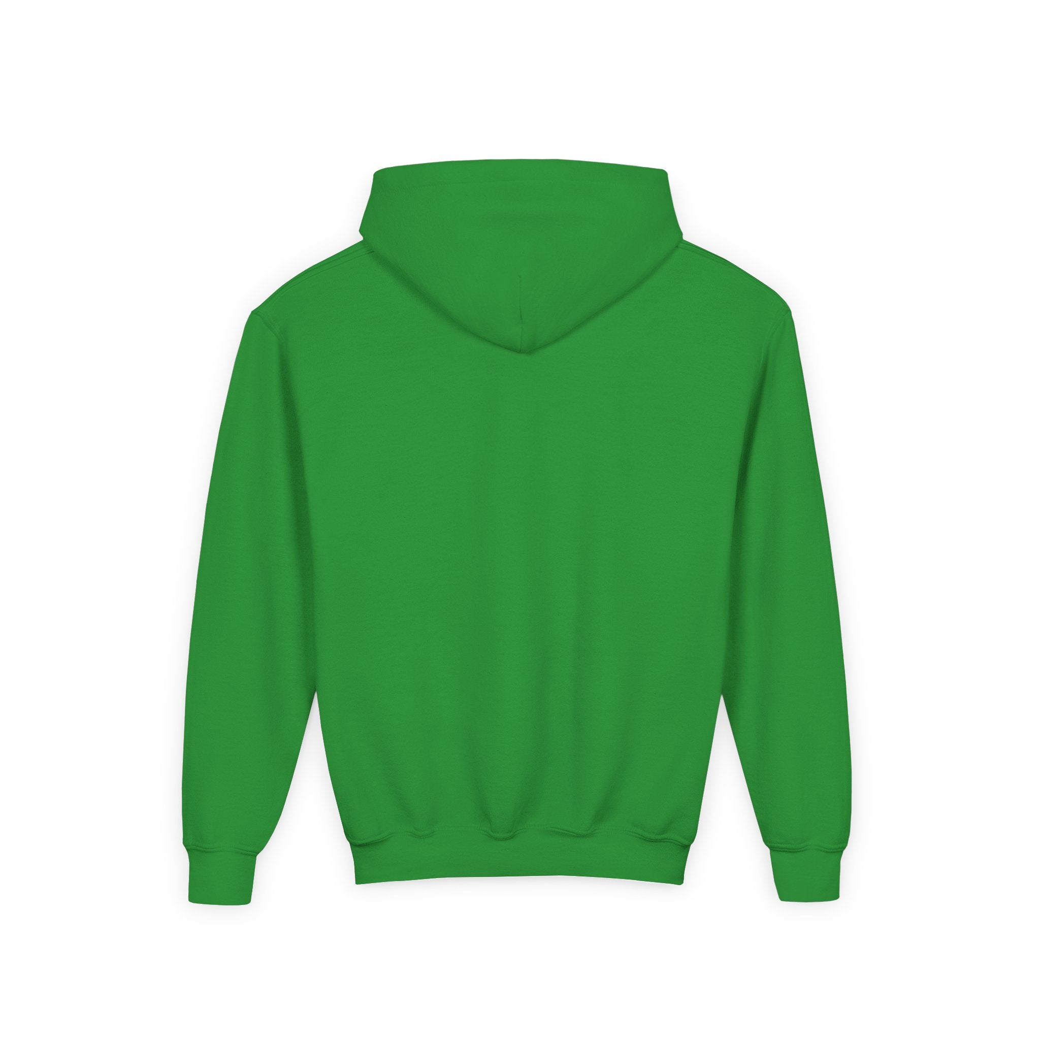 Princess Frog Heart Youth Hoodie — Fairy Tale Princess Hooded Sweatshirt for Kids