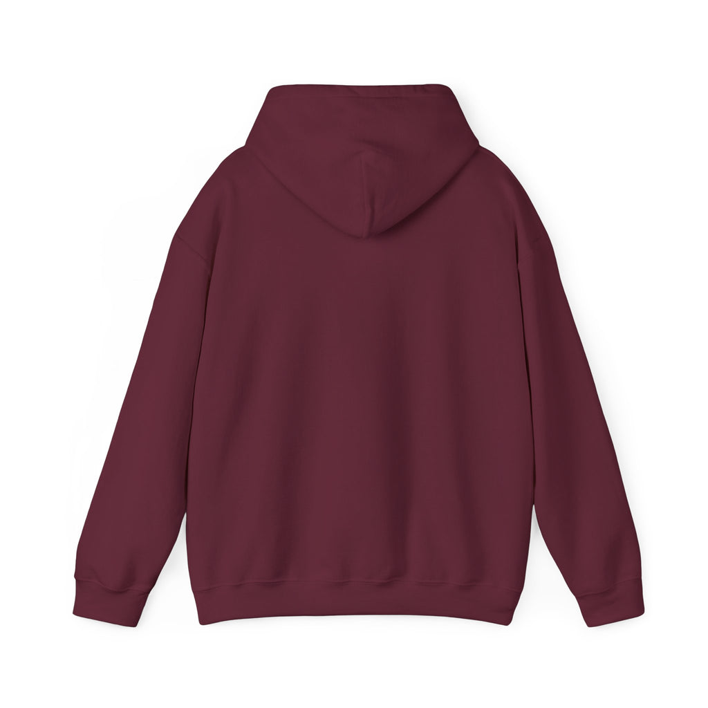 Breaking the Pipeline Hoodie — One Child, One School Inspirational Hoodie